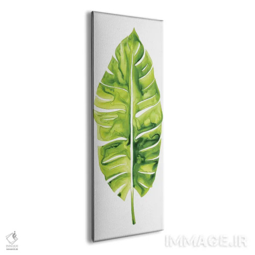 تابلو دکوراتیو مطالعه برگ موز I اثر گریس پاپ - نمای پرسپکتیو محصول