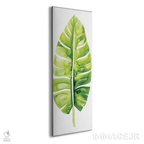 تابلو دکوراتیو مطالعه برگ موز II اثر گریس پاپ - نمای پرسپکتیو محصول