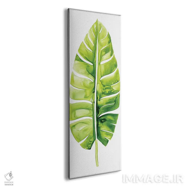 تابلو دکوراتیو مطالعه برگ موز II اثر گریس پاپ - نمای پرسپکتیو محصول