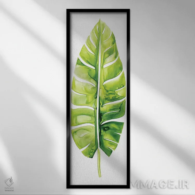 تابلو دکوراتیو مطالعه برگ موز II اثر گریس پاپ - نمای قابدار مشکی