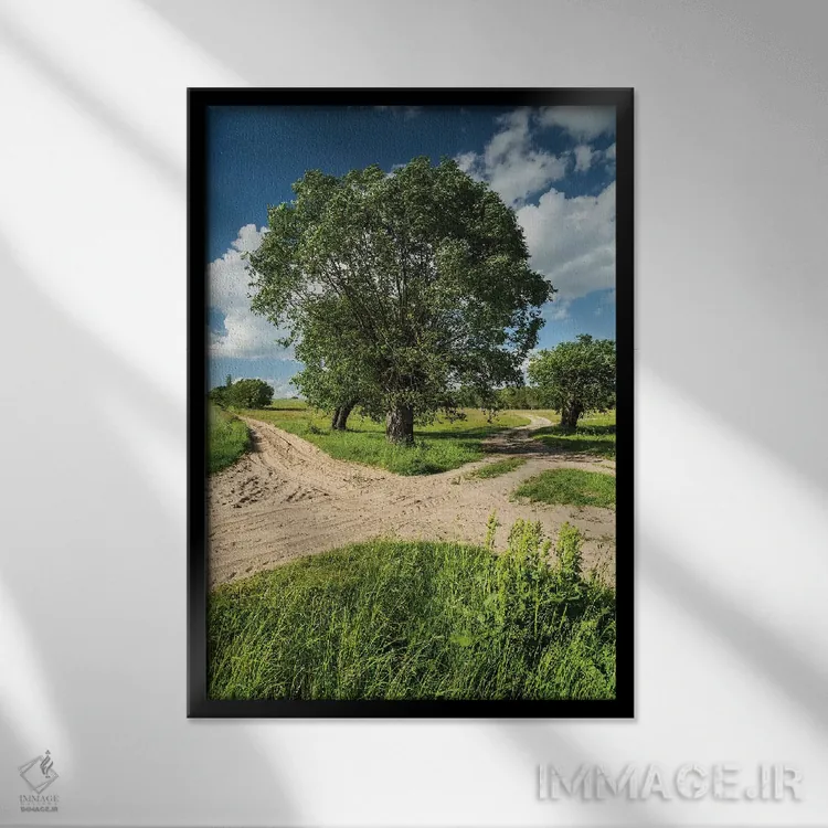 تابلو دکوراتیو بید، ماسوویا، لهستان I اثر میکولاج گوسپودرک - نمای قابدار مشکی