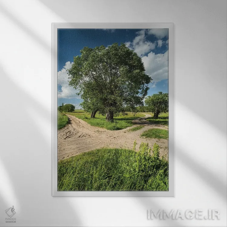 تابلو دکوراتیو بید، ماسوویا، لهستان I اثر میکولاج گوسپودرک - نمای قابدار سفید