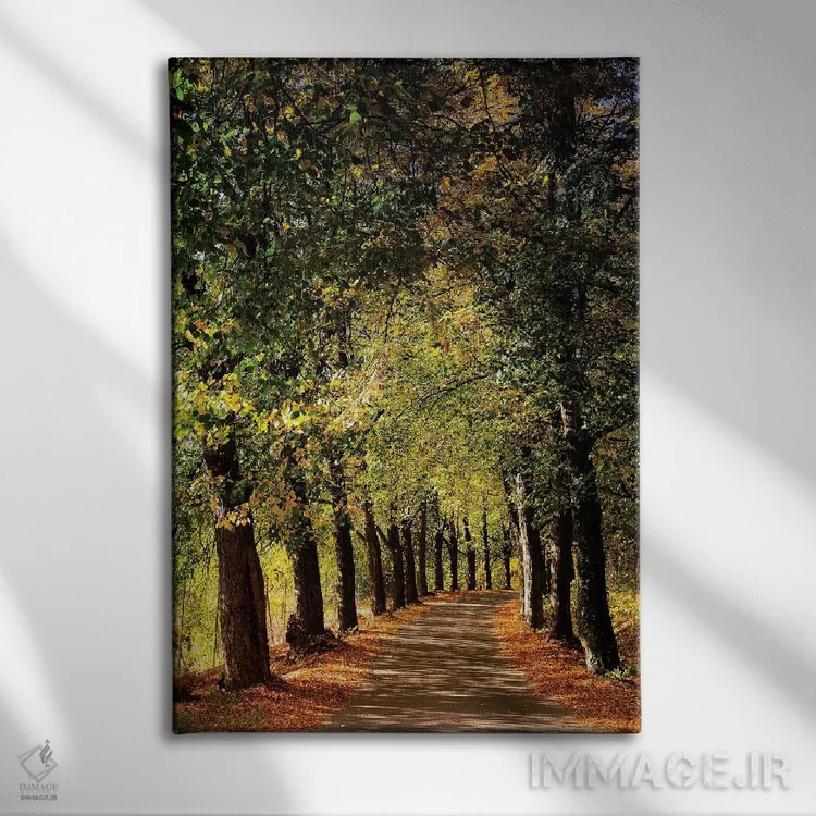 تابلو دکوراتیو اروپا، لهستان، سیلزی سفلی اثر میکولاج گوسپودرک - نمای روبهرو روی دیوار