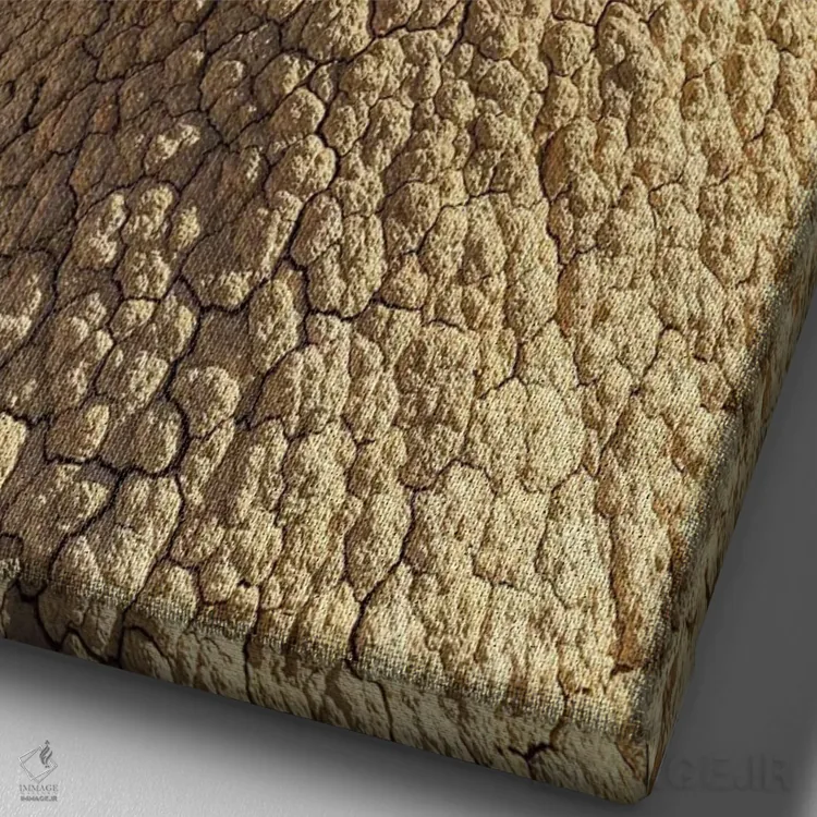 تابلو دکوراتیو اروپا، اسپانیا، باردناس ریالس، پیسکرا IV اثر میکولاج گوسپودرک - نمای نزدیک بافت بوم