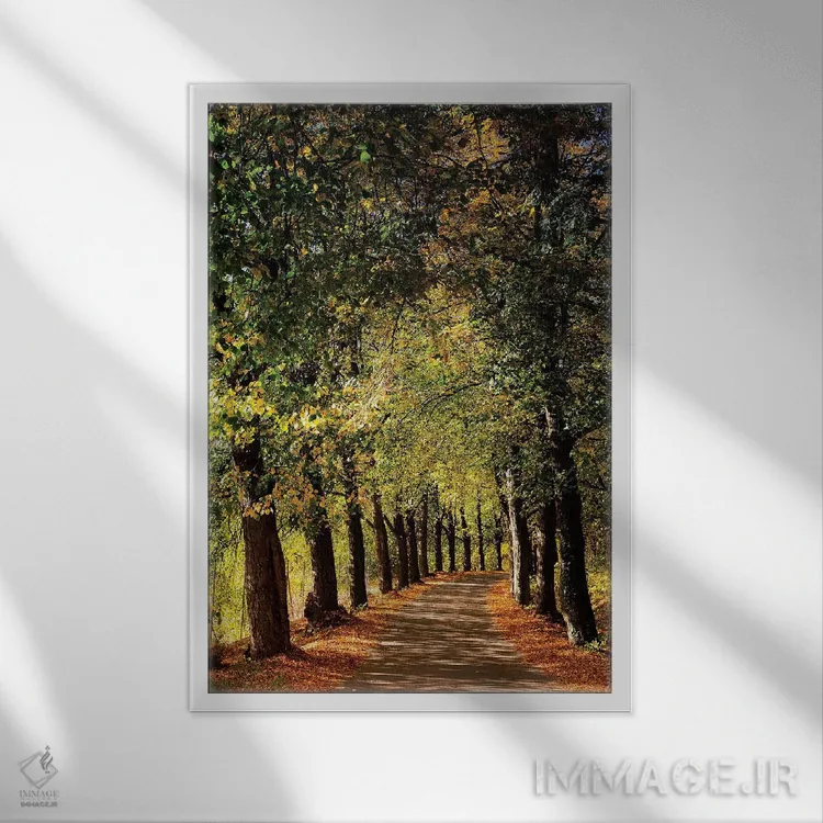 تابلو دکوراتیو اروپا، لهستان، سیلزی سفلی اثر میکولاج گوسپودرک - نمای قابدار سفید