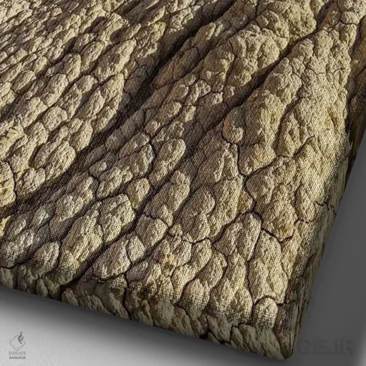 تابلو دکوراتیو اروپا، اسپانیا، باردناس ریالس، پیسکرا V اثر میکولاج گوسپودرک - نمای نزدیک بافت بوم