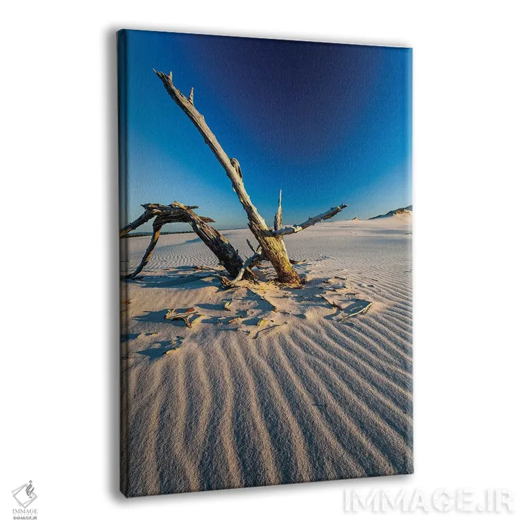 تابلو دکوراتیو لهستان، دریای بالتیک، پارک ملی اسلوینسکی III اثر میکولاج گوسپودرک - نمای پرسپکتیو محصول