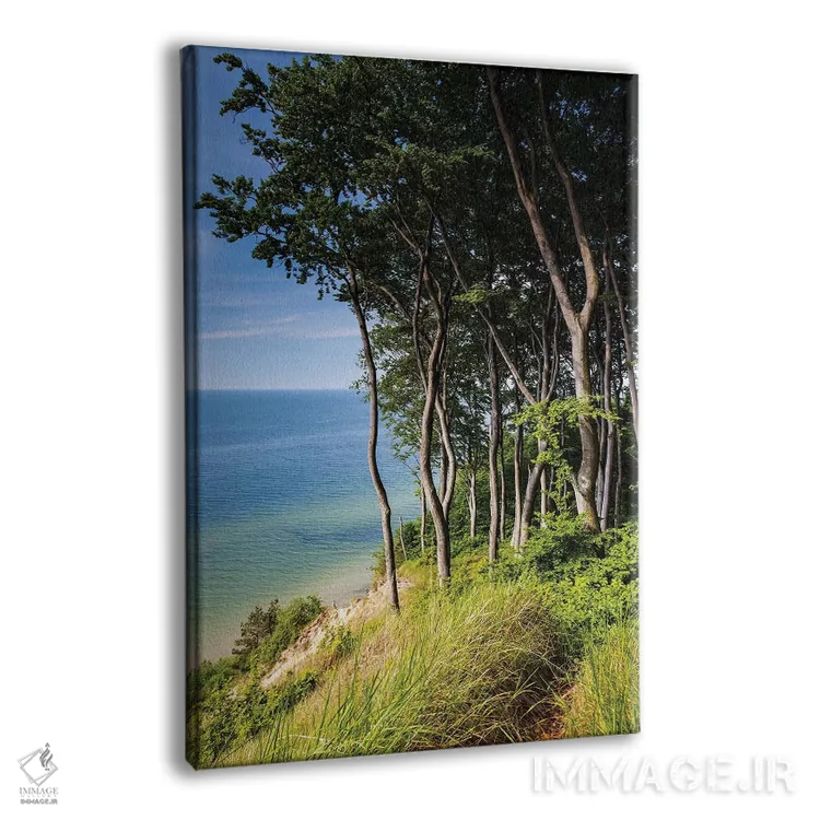 تابلو دکوراتیو لهستان، دریای بالتیک XVI اثر میکولاج گوسپودرک - نمای پرسپکتیو محصول