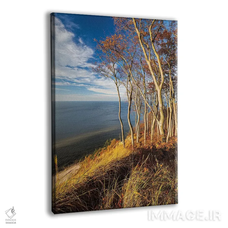 تابلو دکوراتیو لهستان، دریای بالتیک IX اثر میکولاج گوسپودرک - نمای پرسپکتیو محصول