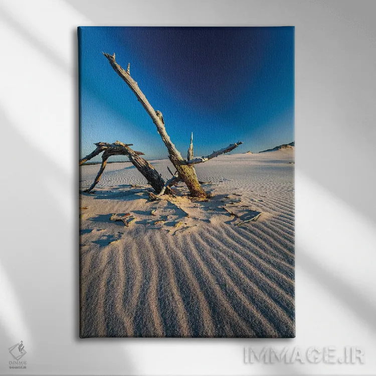 تابلو دکوراتیو لهستان، دریای بالتیک، پارک ملی اسلوینسکی III اثر میکولاج گوسپودرک - نمای روبهرو روی دیوار