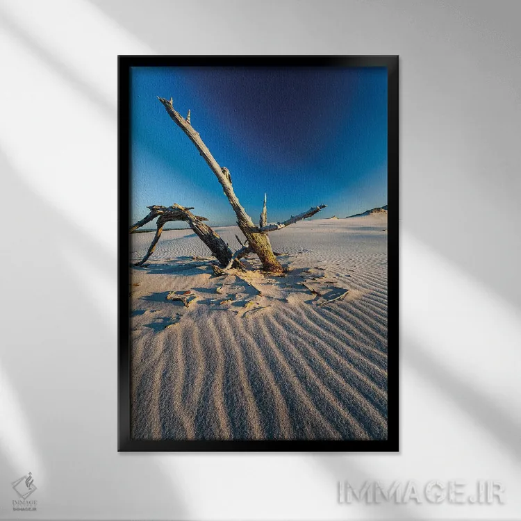 تابلو دکوراتیو لهستان، دریای بالتیک، پارک ملی اسلوینسکی III اثر میکولاج گوسپودرک - نمای قابدار مشکی