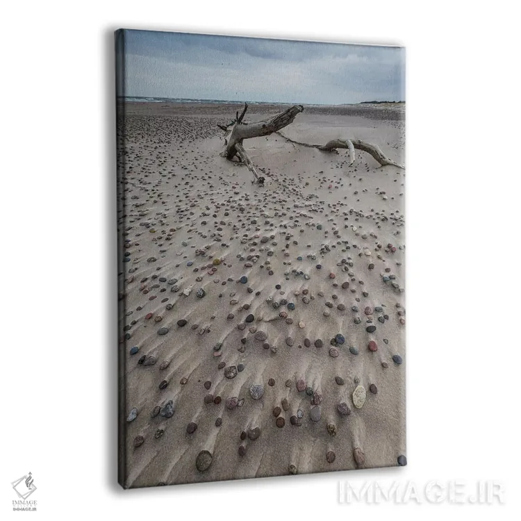 تابلو دکوراتیو لهستان، دریای بالتیک، پارک ملی اسلوینسکی II اثر میکولاج گوسپودرک - نمای پرسپکتیو محصول