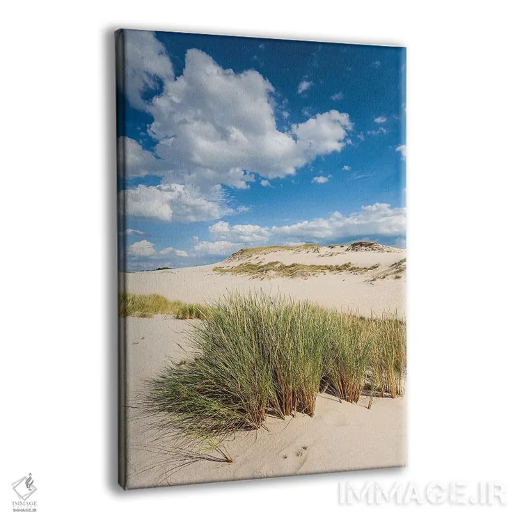 تابلو دکوراتیو لهستان، دریای بالتیک، پارک ملی اسلوینسکی IV اثر میکولاج گوسپودرک - نمای پرسپکتیو محصول