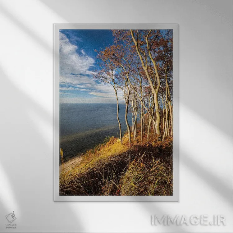 تابلو دکوراتیو لهستان، دریای بالتیک IX اثر میکولاج گوسپودرک - نمای قابدار سفید