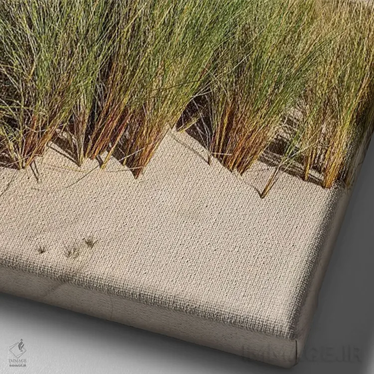 تابلو دکوراتیو لهستان، دریای بالتیک، پارک ملی اسلوینسکی IV اثر میکولاج گوسپودرک - نمای نزدیک بافت بوم