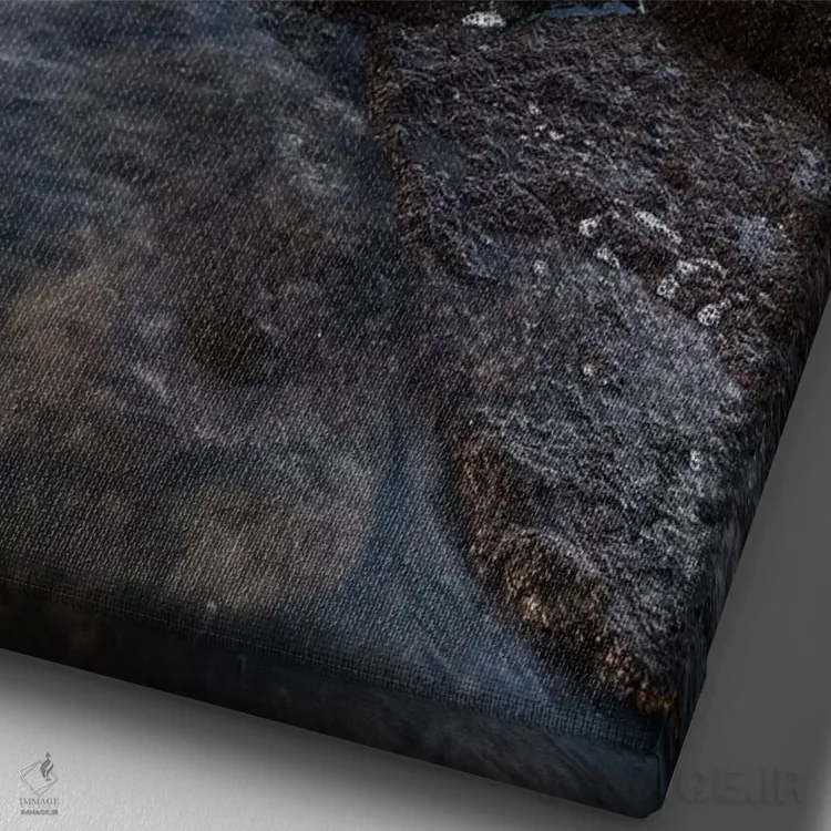 تابلو دکوراتیو لهستان، دریای بالتیک، سوینواوی چه اثر میکولاج گوسپودرک - نمای نزدیک بافت بوم