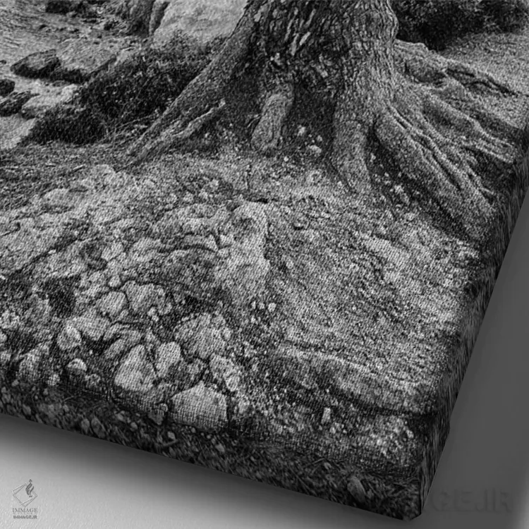 تابلو دکوراتیو اسپانیا، مایورکا اثر میکولاج گوسپودرک - نمای نزدیک بافت بوم