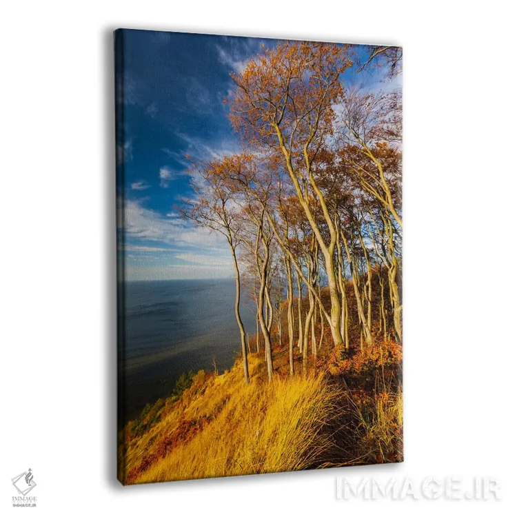 تابلو دکوراتیو Baltic Sea, Wolin National Park,لهستان، دریای بالتیک… اثر میکولاج گوسپودرک - نمای پرسپکتیو محصول