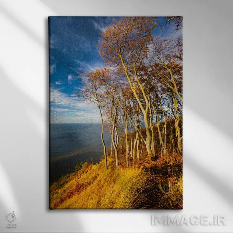 تابلو دکوراتیو Baltic Sea, Wolin National Park,لهستان، دریای بالتیک… اثر میکولاج گوسپودرک - نمای روبهرو روی دیوار