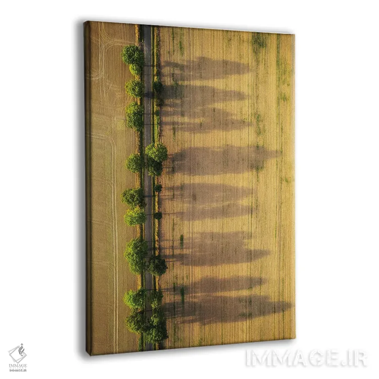 تابلو دکوراتیو جاده جادویی اثر میکولاج گوسپودرک - نمای پرسپکتیو محصول