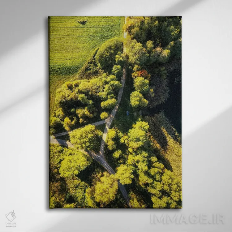 تابلو دکوراتیو جاده جادویی اثر میکولاج گوسپودرک - نمای روبهرو روی دیوار