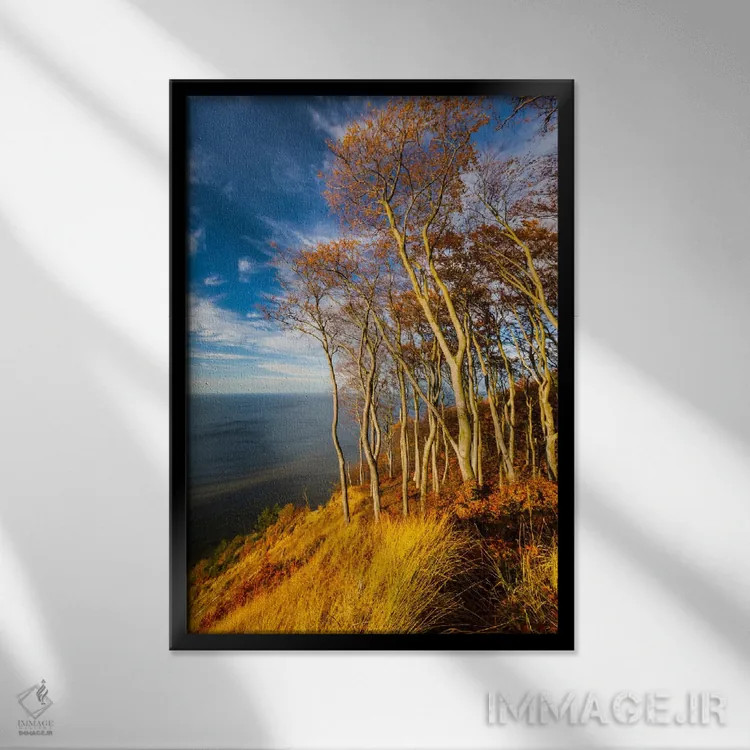 تابلو دکوراتیو Baltic Sea, Wolin National Park,لهستان، دریای بالتیک… اثر میکولاج گوسپودرک - نمای قابدار مشکی