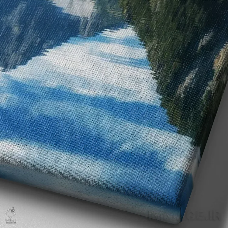 تابلو دکوراتیو Tyrol, Austria,پلانزه، تیرول، اتریش اثر میکولاج گوسپودرک - نمای نزدیک بافت بوم