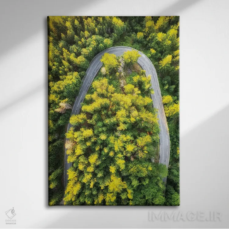 تابلو دکوراتیو جاده جادویی اثر میکولاج گوسپودرک - نمای روبهرو روی دیوار