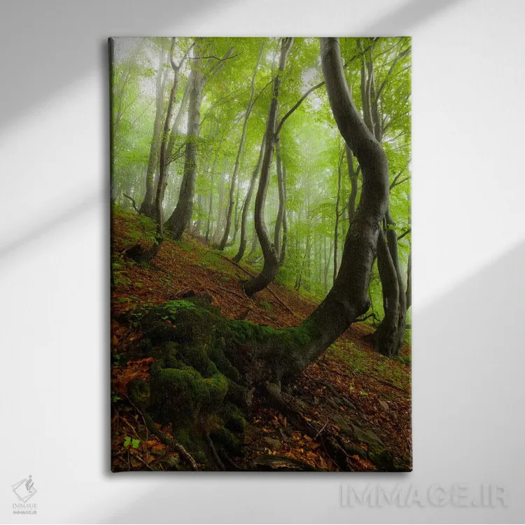 تابلو دکوراتیو Bieszczady National Park I,لهستان، پارک ملی بیه شچادی… اثر میکولاج گوسپودرک - نمای روبهرو روی دیوار