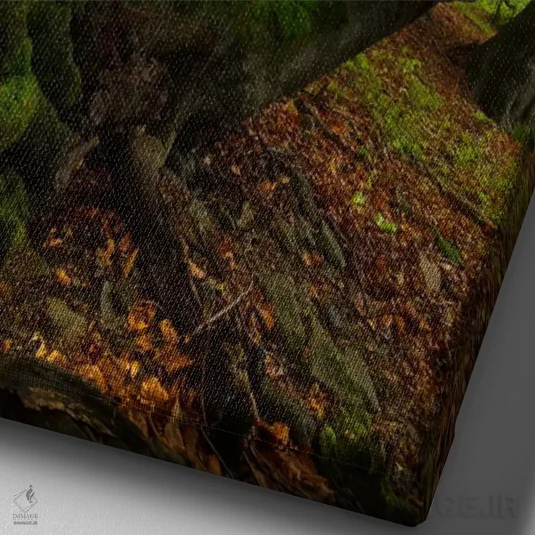 تابلو دکوراتیو Bieszczady National Park I,لهستان، پارک ملی بیه شچادی… اثر میکولاج گوسپودرک - نمای نزدیک بافت بوم