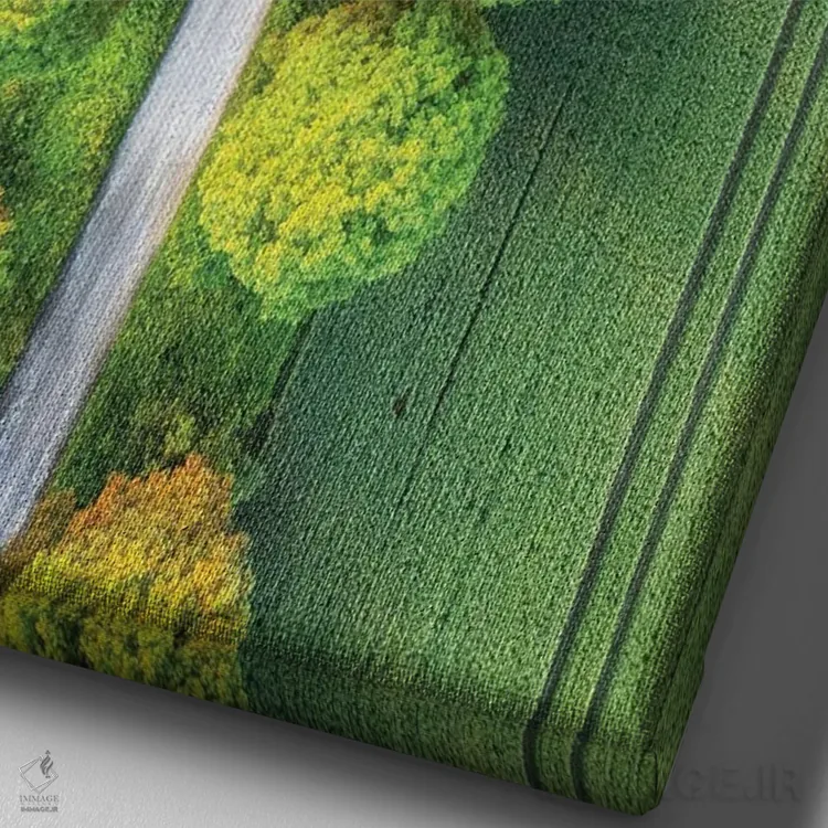 تابلو دکوراتیو جاده جادویی اثر میکولاج گوسپودرک - نمای نزدیک بافت بوم