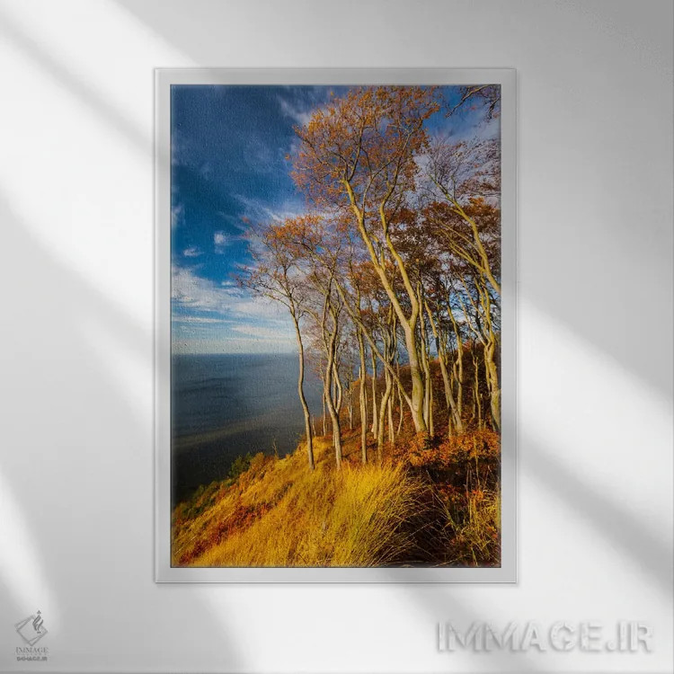 تابلو دکوراتیو Baltic Sea, Wolin National Park,لهستان، دریای بالتیک… اثر میکولاج گوسپودرک - نمای قابدار سفید
