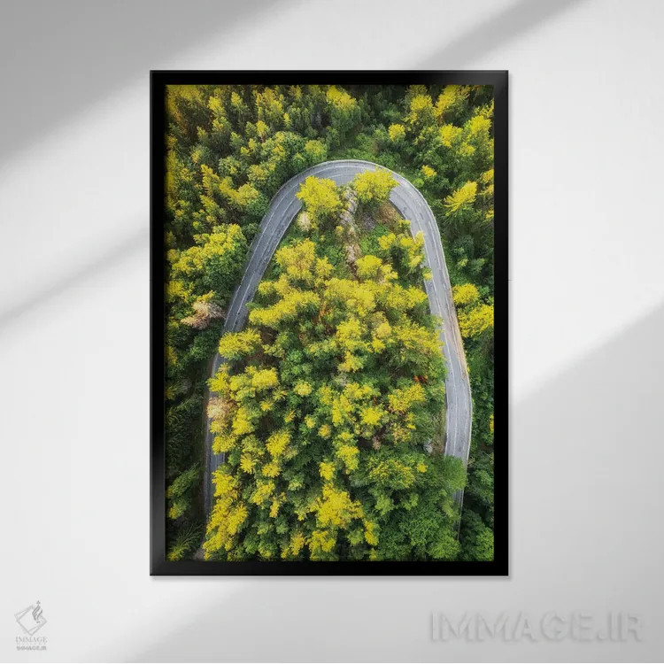 تابلو دکوراتیو جاده جادویی اثر میکولاج گوسپودرک - نمای قابدار مشکی