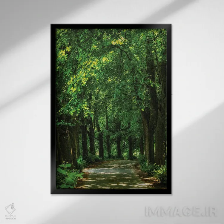 تابلو دکوراتیو جاده مجین اثر میکولاج گوسپودرک - نمای قابدار مشکی