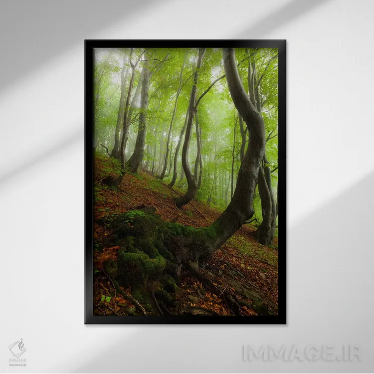 تابلو دکوراتیو Bieszczady National Park I,لهستان، پارک ملی بیه شچادی… اثر میکولاج گوسپودرک - نمای قابدار مشکی