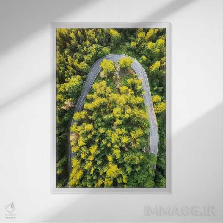 تابلو دکوراتیو جاده جادویی اثر میکولاج گوسپودرک - نمای قابدار سفید