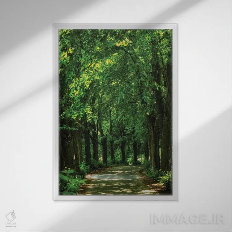 تابلو دکوراتیو جاده مجین اثر میکولاج گوسپودرک - نمای قابدار سفید