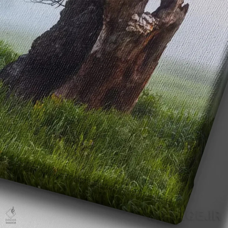 تابلو دکوراتیو Greater Poland, Rogalin, Oaks II,لهستان، استان لهستان… اثر میکولاج گوسپودرک - نمای نزدیک بافت بوم