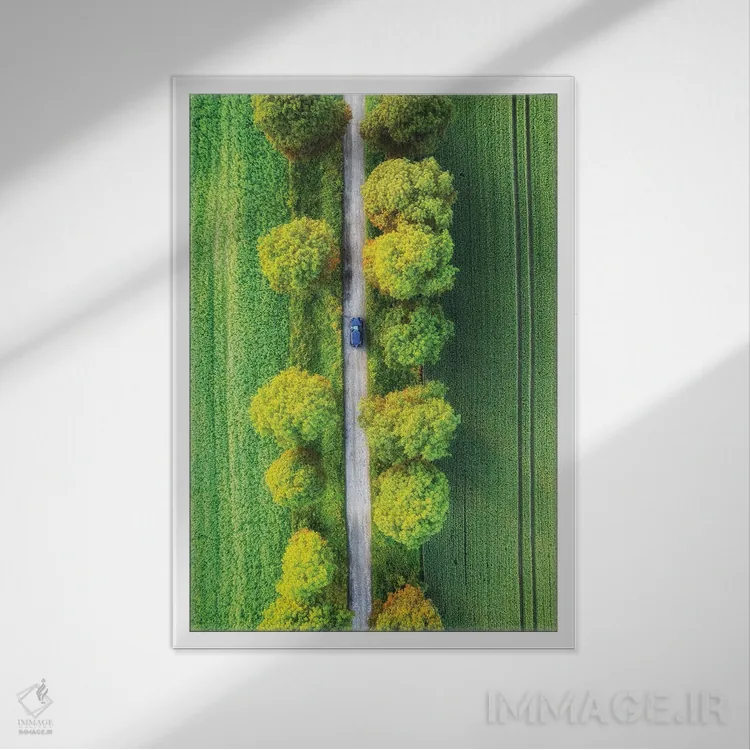 تابلو دکوراتیو جاده جادویی اثر میکولاج گوسپودرک - نمای قابدار سفید