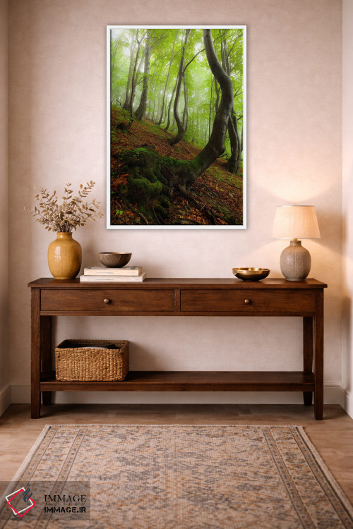 تابلو دکوراتیو Bieszczady National Park I,لهستان، پارک ملی بیه شچادی… اثر میکولاج گوسپودرک - D2W