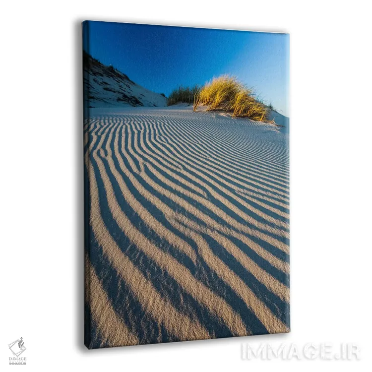 تابلو دکوراتیو Slowinski National Park, Dune,لهستان، پارک ملی اسلوینس… اثر میکولاج گوسپودرک - نمای پرسپکتیو محصول