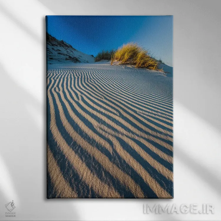 تابلو دکوراتیو Slowinski National Park, Dune,لهستان، پارک ملی اسلوینس… اثر میکولاج گوسپودرک - نمای روبهرو روی دیوار