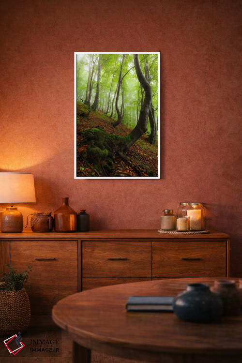 تابلو دکوراتیو Bieszczady National Park I,لهستان، پارک ملی بیه شچادی… اثر میکولاج گوسپودرک - D3W