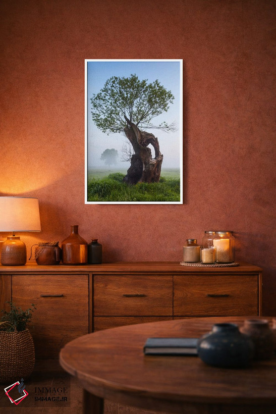 تابلو دکوراتیو Greater Poland, Rogalin, Oaks II,لهستان، استان لهستان… اثر میکولاج گوسپودرک - D4W