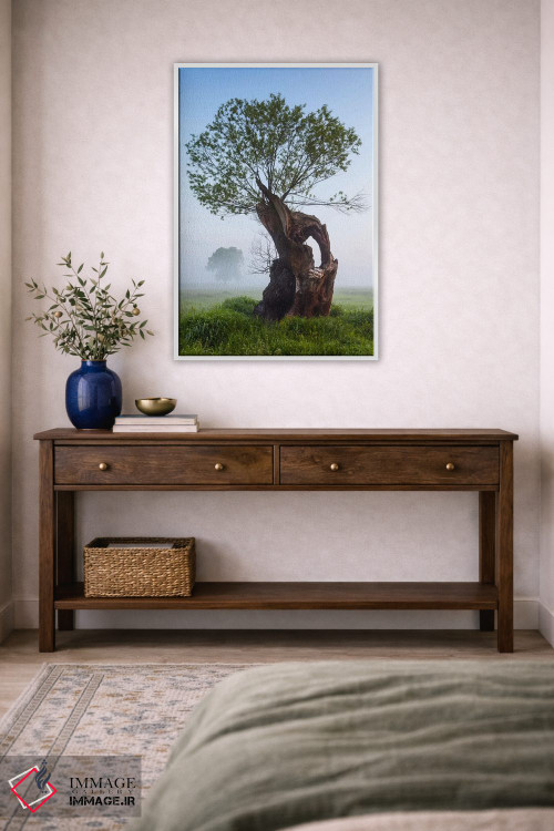 تابلو دکوراتیو Greater Poland, Rogalin, Oaks II,لهستان، استان لهستان… اثر میکولاج گوسپودرک - D3W