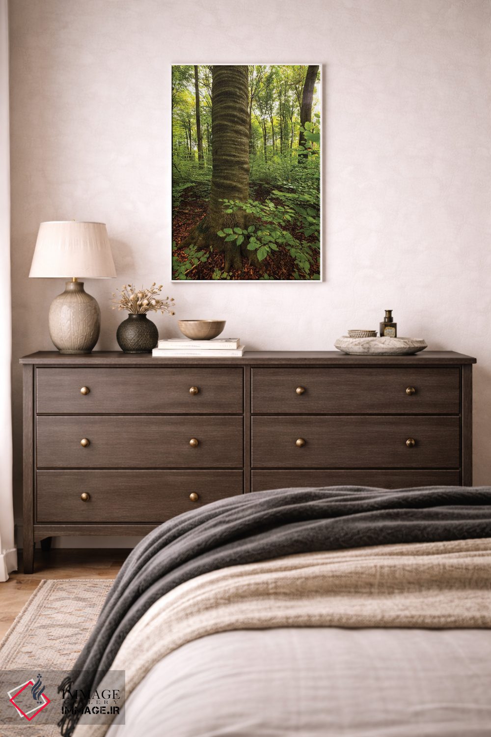 تابلو دکوراتیو Lubelskie, Roztocze National Park, Beech Tree,لهستان… اثر میکولاج گوسپودرک - D3W