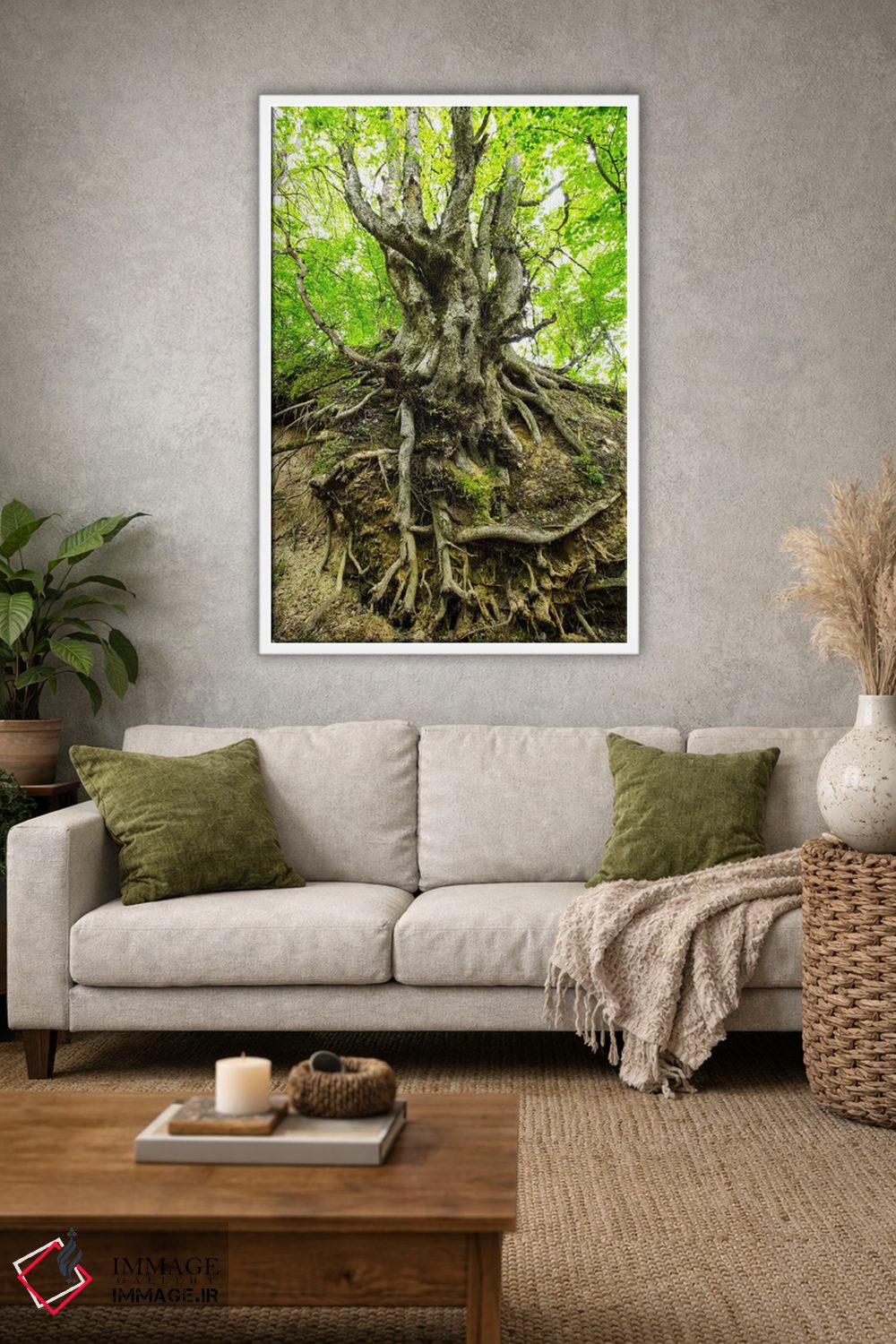 تابلو دکوراتیو Lubelskie, Roztocze, Old Tree,لهستان، لوبلسکی، روستوچه… اثر میکولاج گوسپودرک - D1W