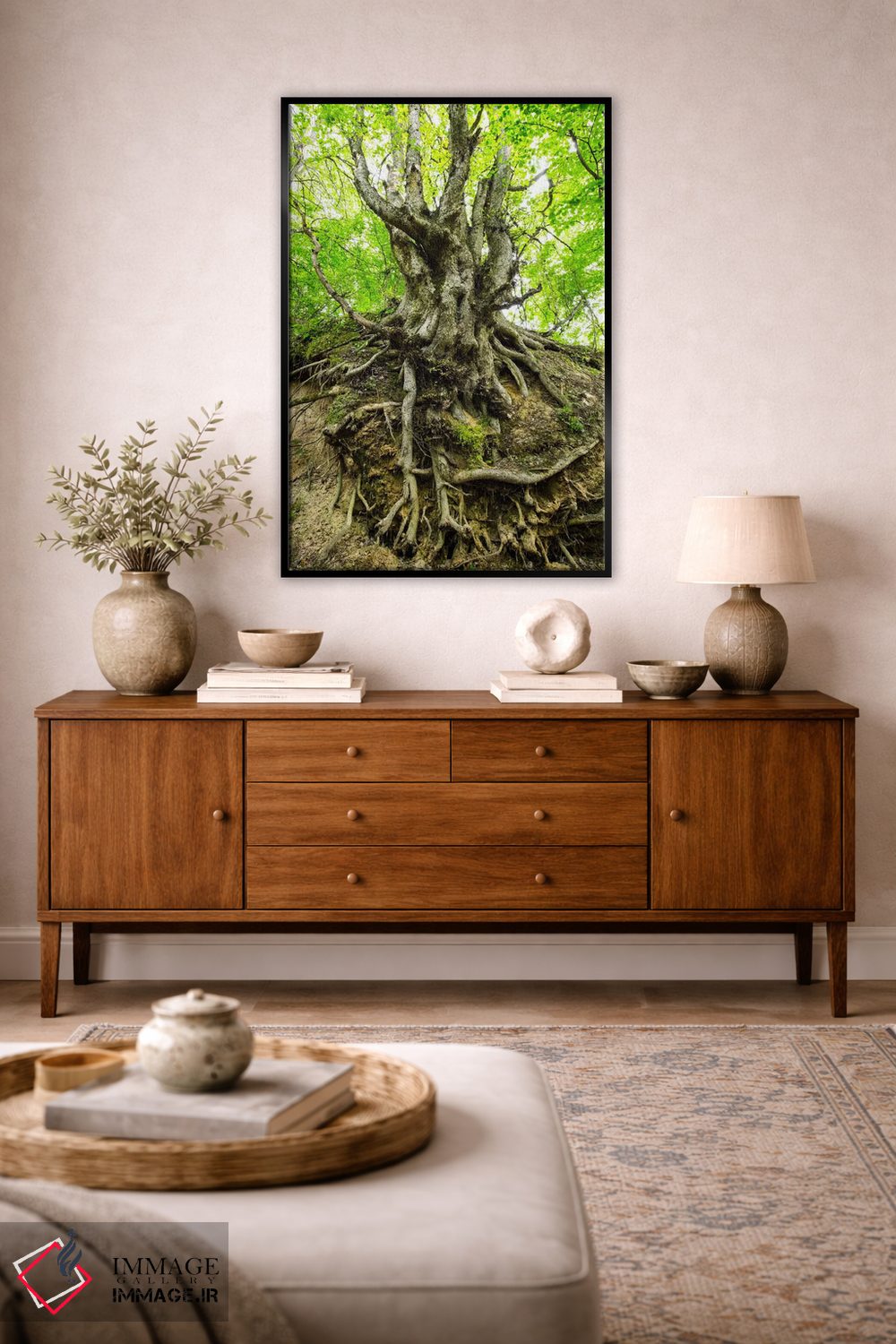 تابلو دکوراتیو Lubelskie, Roztocze, Old Tree,لهستان، لوبلسکی، روستوچه… اثر میکولاج گوسپودرک - D4B