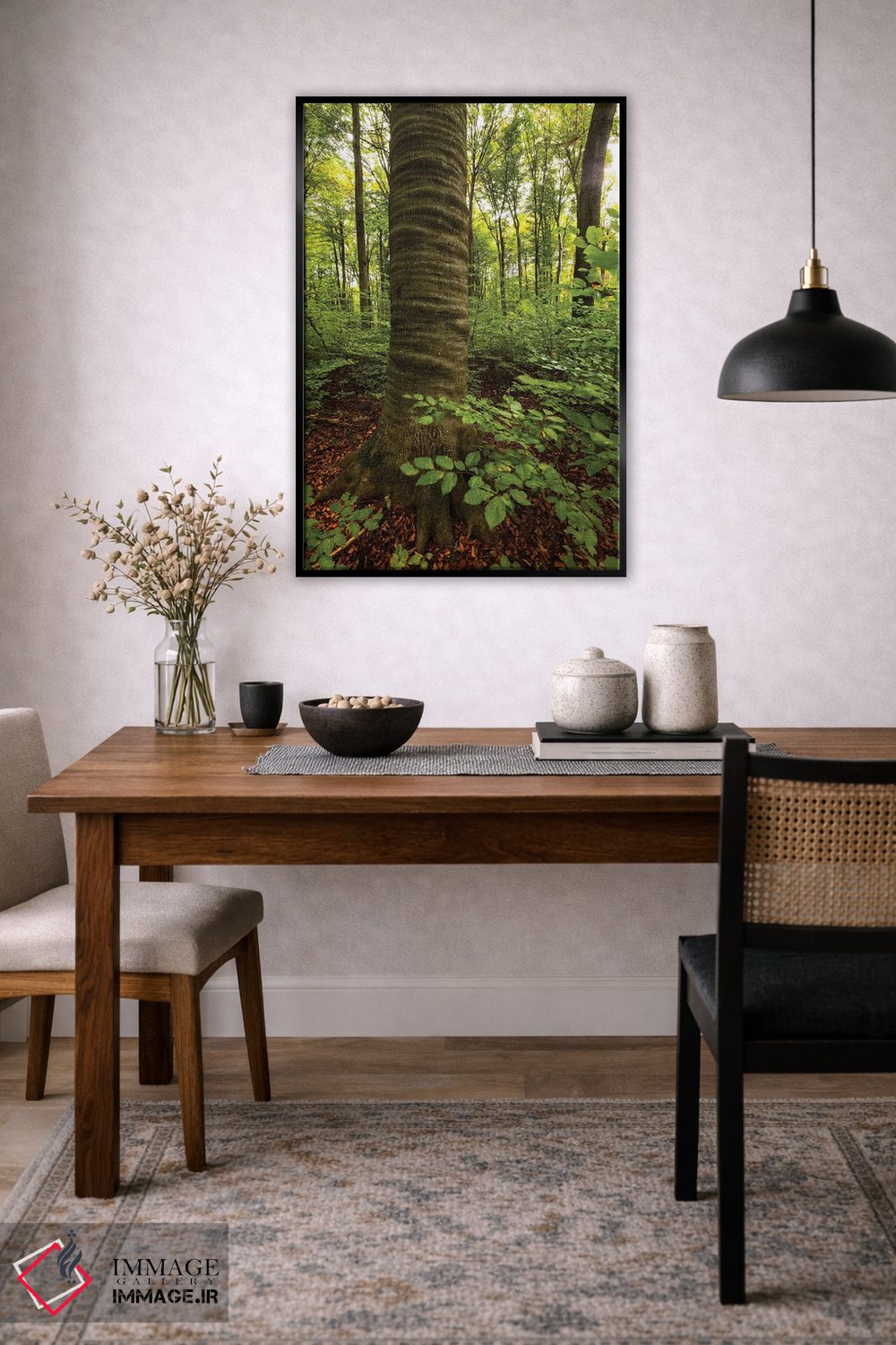 تابلو دکوراتیو Lubelskie, Roztocze National Park, Beech Tree,لهستان… اثر میکولاج گوسپودرک - D6B