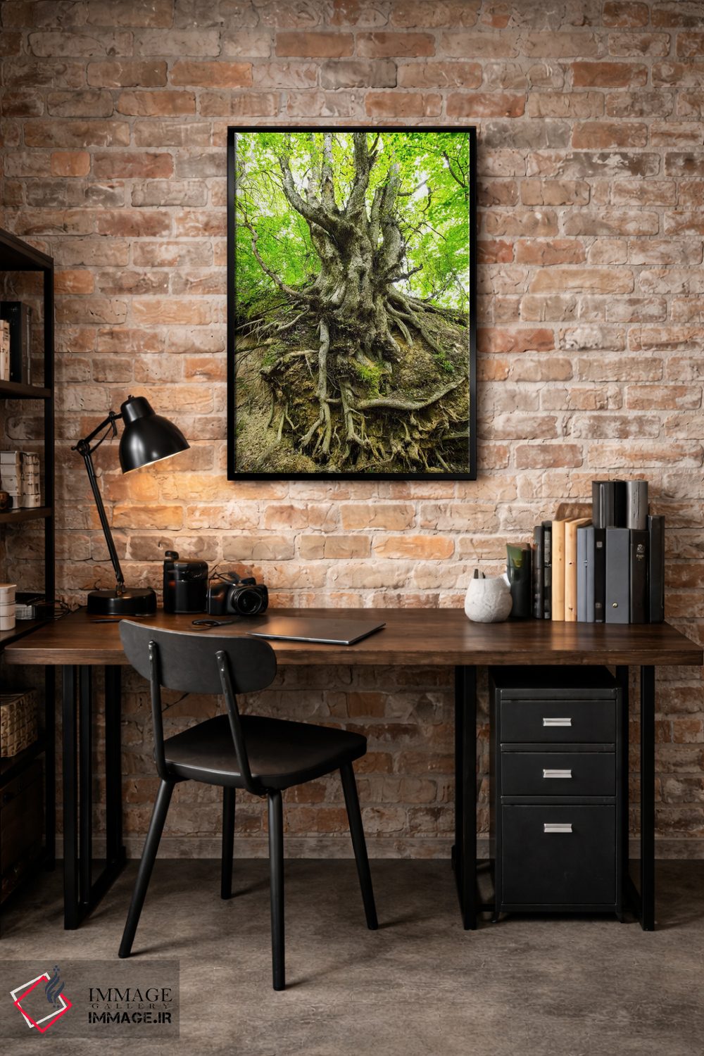 تابلو دکوراتیو Lubelskie, Roztocze, Old Tree,لهستان، لوبلسکی، روستوچه… اثر میکولاج گوسپودرک - D3B